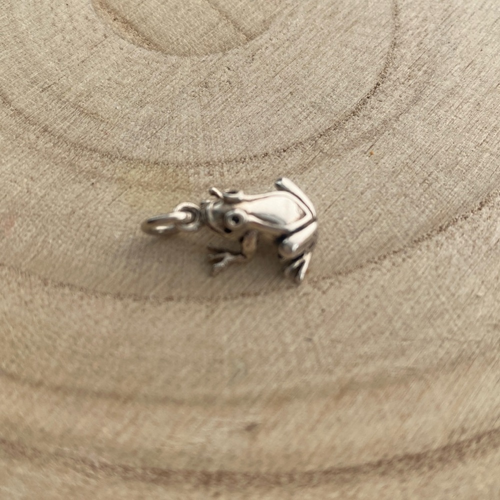 Frog dije sterling silver necklace fashion collection Made in Mexico